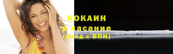 кокс Инсар