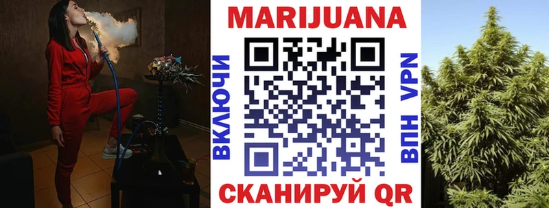 Бошки Шишки планчик  Купить  Болхов 